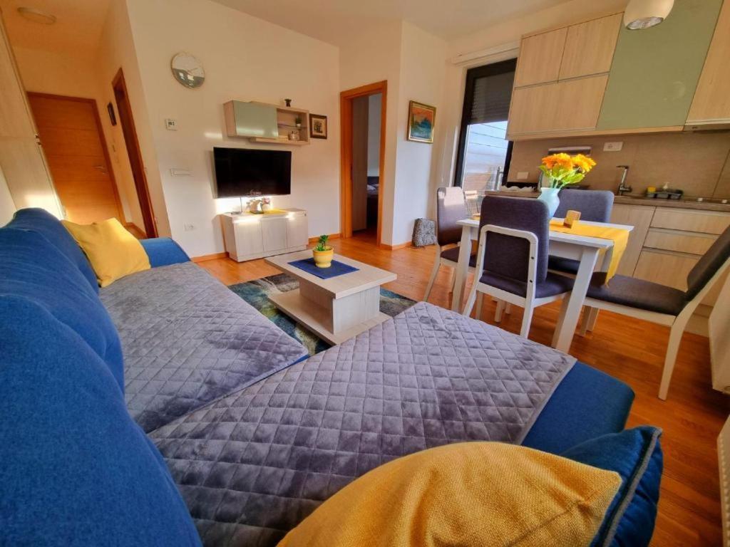 Neoplanta Apartment Zlatibor