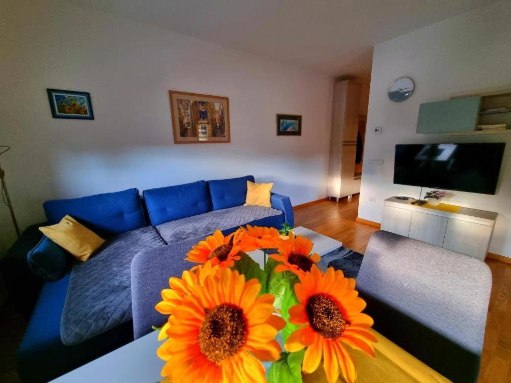 Neoplanta Apartment Zlatibor