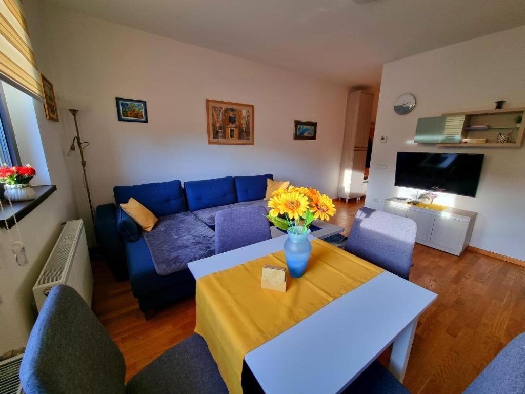 Apartment Neoplanta Zlatibor